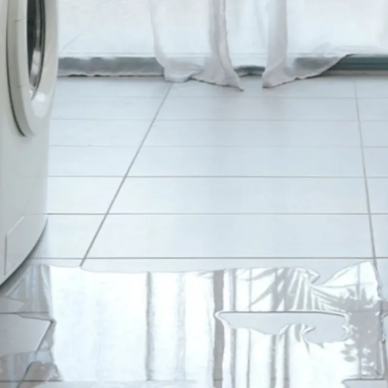 Appliance Leak Cleanup in Starke County, IN