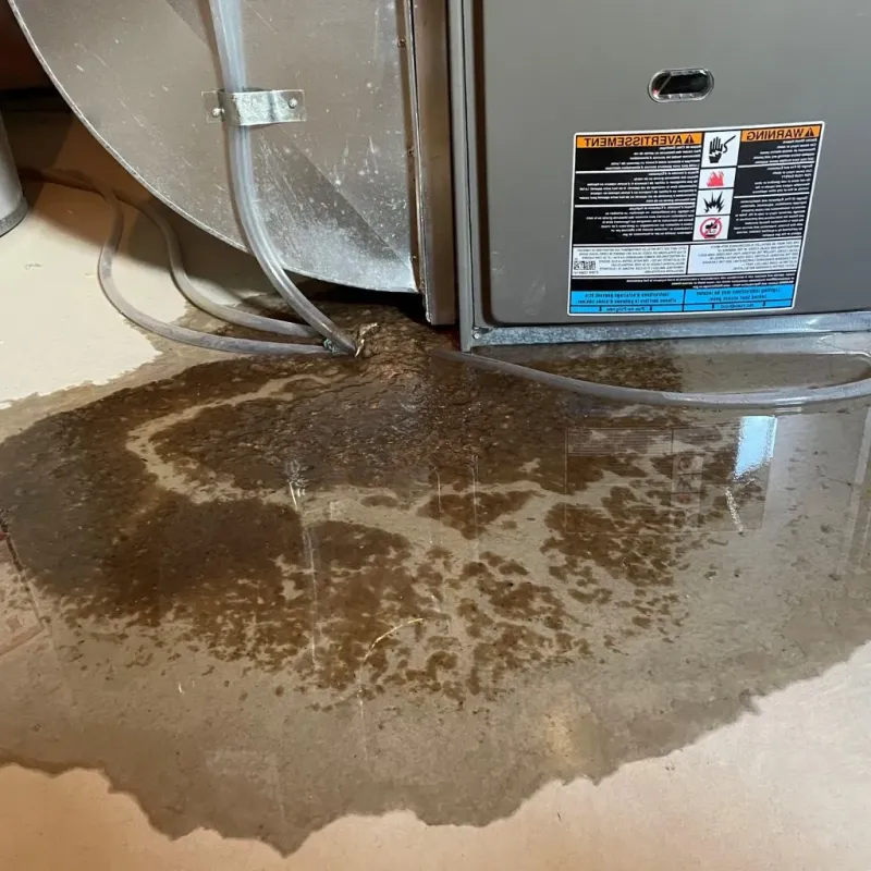 Pipe Burst and Leak Restoration in Starke County, IN
