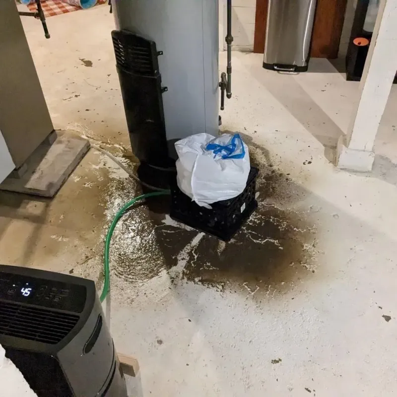Sewage Backup Cleanup Service in Starke County, IN